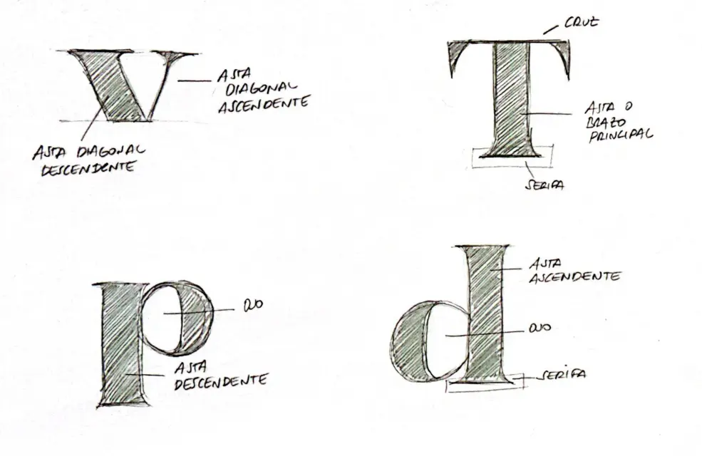 Anatomía de las Tipografías: astas, ascendentes, descendentes, ligaduras y más